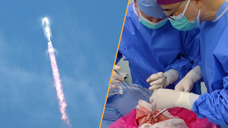 Science news this week: A world first pig-to-human lung transplant, and SpaceX’s Starship nails a test flight | Industry 411 - Waste Management | Scoop.it