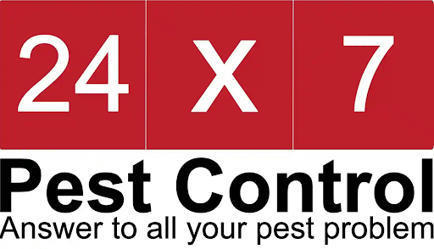 cockroach-control-lucknow | Pest Control Services | Scoop.it