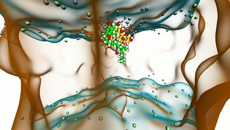 Dossier santé : les entreprises innovantes à Limoges | La sélection d'ADI | Scoop.it