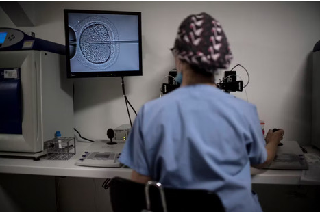 Pour les personnes n&eacute;es d&rsquo;un don, l&rsquo;imp&eacute;rieuse qu&ecirc;te des origines : &laquo; C&rsquo;est tellement important de savoir quelle histoire coule dans nos veines &raquo; | Bio&eacute;thique & Procr&eacute;ation | Scoop.it