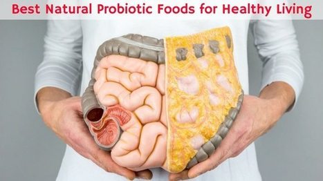 Healthy Living 10 Best Natural Probiotic Foods Call 915-850-0900 | Healthy Foods | Scoop.it