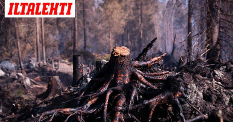 Suomi ilmiliekeiss&auml; | 1Uutiset - Lukemisen t&auml;hden | Scoop.it