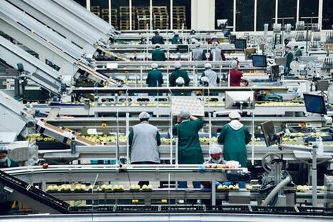 Le travail devient de plus en plus pénible | Veille juridique du CDG13 | Scoop.it