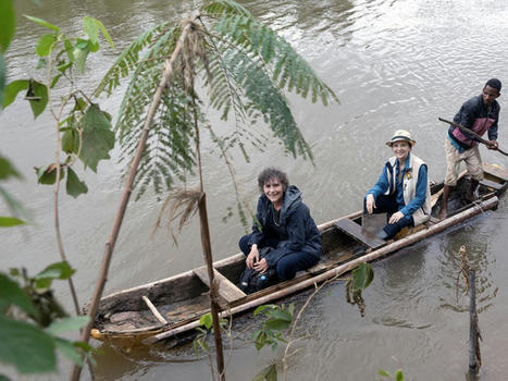 La Fabrique des pandémies | Biodiversité | Scoop.it