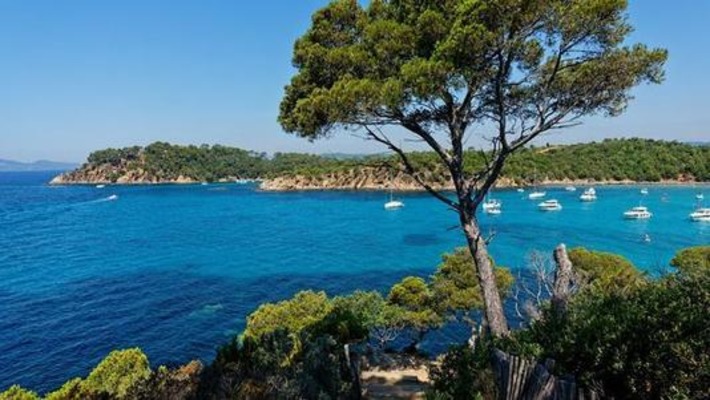 De l’Argentière à la pointe du Diable, balade nature à la découverte d’une Côte d’Azur cachée | Ma douce France | Scoop.it