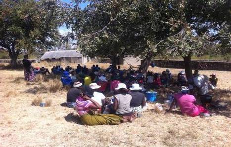 Collaborative platforms bring communities together in Headlands | Peer2Politics | Scoop.it