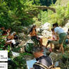 Biodiversité