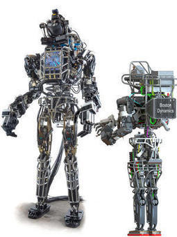 Robot salvavidas perfecto | tecno4 | Scoop.it