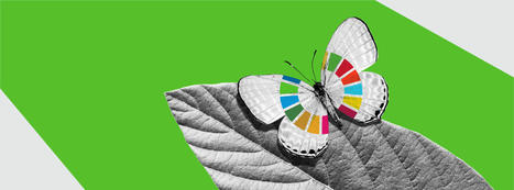 Actions for a healthy planet | Biodiversity, Climate Change, Environment, Conservation, Forestry, Fisheries, Oceans and Coasts | Scoop.it