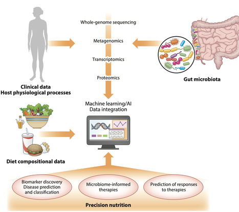 Microbe–Diet Interactions and Personalized Nutrition | AnR | RMH | Scoop.it