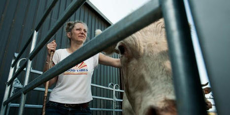 Bien-être animal : le Bœuf Éthique innove avec le premier abattoir mobile de France | Actualité Bétail | Scoop.it