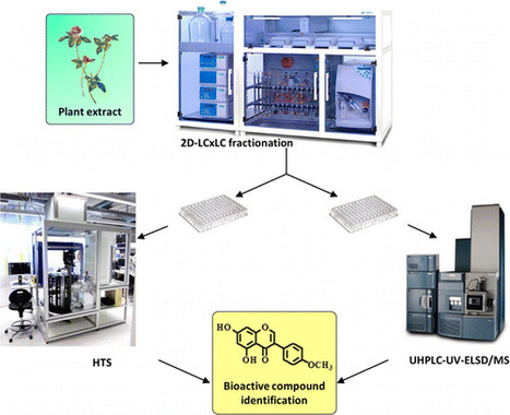 Standardized LC×LC-ELSD Fractionation Procedure for the Identification of Minor Bioactives via the Enzymatic Screening of Natural Extracts | Natural Products Chemistry Breaking News | Scoop.it
