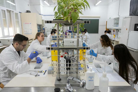 PAU 2025: Las carreras más codiciadas por los jóvenes tras la Selectividad: Tecnología, Salud y también Relaciones Internacionales | Albisteak | Scoop.it