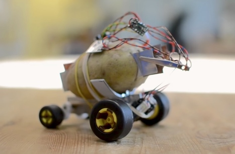 Cómo hacer un robot con una Papa | tecno4 | Scoop.it
