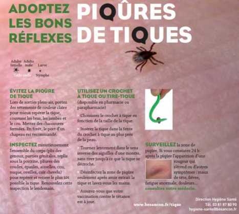 La Franche-Comté est l'une des régions les plus touchées par les piqûres de tiques | Variétés entomologiques | Scoop.it