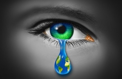 The Identifiable Victim Effect and How It Affects Your Marketing - Small Business Trends | 21st Century Public Relations | Scoop.it