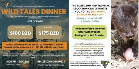 Belize Zoo 40th Anniversary Celebrations | Cayo Scoop!  The Ecology of Cayo Culture | Scoop.it