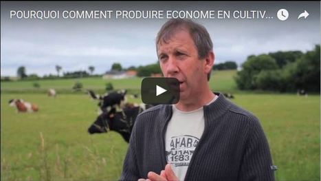 [Vidéos] Réseau agriculture durable : Des éleveurs présentent leurs systèmes économes en intrants | Lait de Normandie... et d'ailleurs | Scoop.it