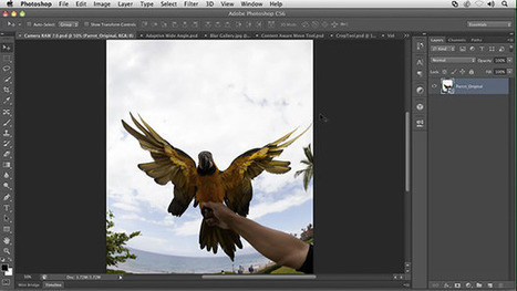 Adobe Releases Photoshop CS6 Beta: Redesigned UI and 62% More Features | pixels and pictures | Scoop.it