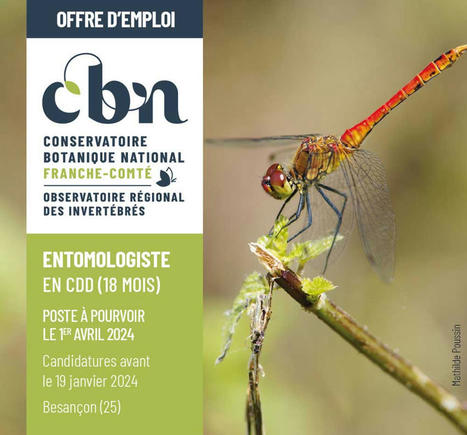 Offre d'emploi : Entomologiste en CDD (18 mois) à Besançon (25) | Variétés entomologiques | Scoop.it