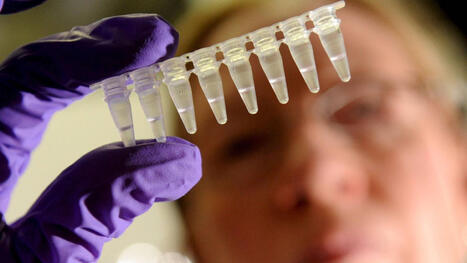 La primera vacuna dise&ntilde;ada por IA puede acabar con el coronavirus para siempre: ya se ha probado con &eacute;xito en humanos | Santiago Sanz Lastra | Scoop.it