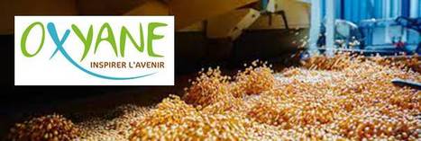 Isère : Oxyane va construire une usine de trituration de soja | Lait de Normandie... et d'ailleurs | Scoop.it
