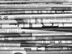 History in the News - The Historical Association | Doing History | Scoop.it