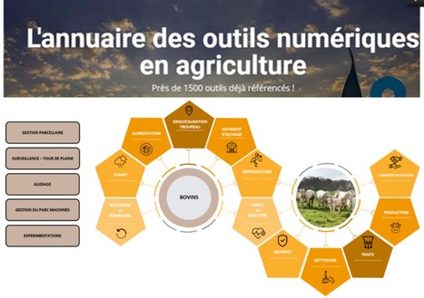 Annuaire des outils numériques en agriculture | Lait de Normandie... et d'ailleurs | Scoop.it