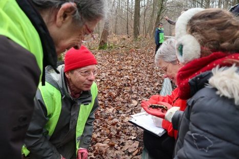 Ecologie : 292 amphibiens ramassés sur une route du Val-d'Oise | Environnement, paysage et biodiversité | Scoop.it