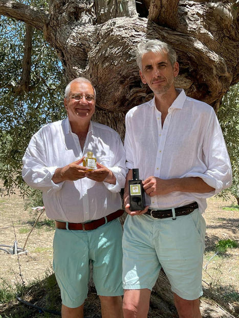 Bassin d&rsquo;Arcachon&nbsp;: une huile d&rsquo;olive qui a la cote | CORPS GRAS | Scoop.it