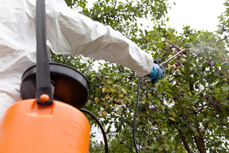 Pesticides : l'UE relève le niveau maximal autorisé dans certains aliments | Alimentation Santé Environnement | Scoop.it