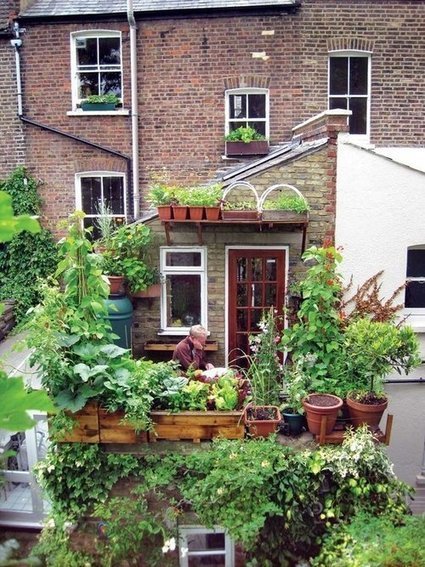 Balcony garden in the UK | 1001 Gardens | 1001 Gardens ideas ! | Scoop.it