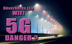 P&eacute;tition avant le 1er d&eacute;cembre 2018 contre la 5G | Vari&eacute;t&eacute;s entomologiques | Scoop.it