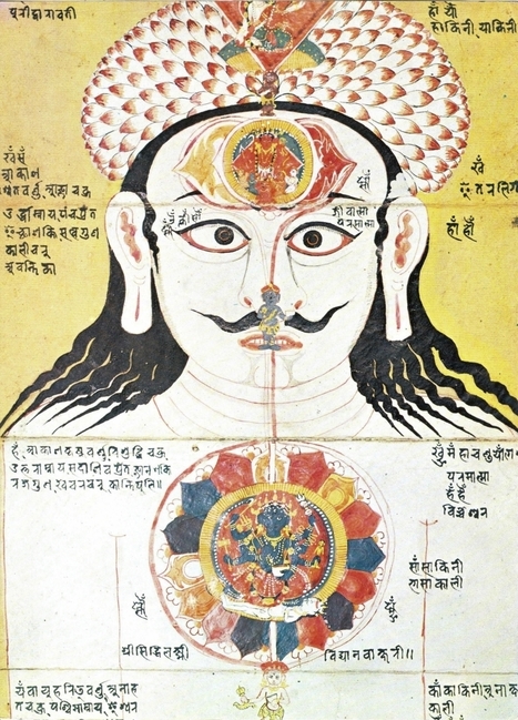 The real story on the Chakras | meditation, spirituality and meaning | Scoop.it