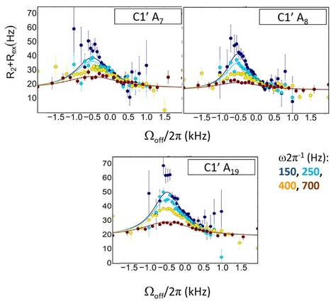 Transitions conformationnelles lentes présentes dans les séquences d’ADN riches en paires de bases A.T | Life Sciences Université Paris-Saclay | Scoop.it