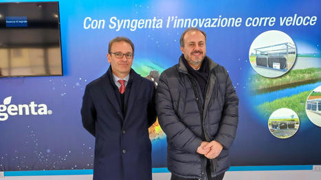 Syngenta e Riso Gallo insieme per la sostenibilit&agrave; | Sustainable Procurement News - Italian | Scoop.it