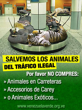 El Precio de las Cosas y el Poder de tu Compra | Activismo en la RED | Scoop.it