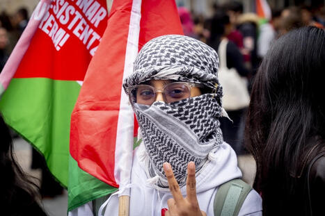 Pays Basque Sud : journée de grève et mobilisations massives en faveur de la Palestine | Euskal Herria | MEDIABASK | BABinfo Pays Basque | Scoop.it