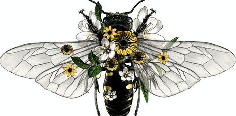 Pénélope : « Les abeilles sont-elles conscientes qu’elles vont mourir si elles piquent ? » | EntomoScience | Scoop.it
