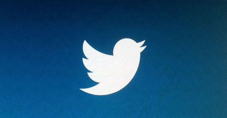 Twitter veut aider l'Indon&eacute;sie face aux risques naturels | Gestion des Risques | Scoop.it