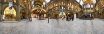 "Natural History Museum"- Museu de História Natural - Londres | DE TUDO UM POUCO | Scoop.it