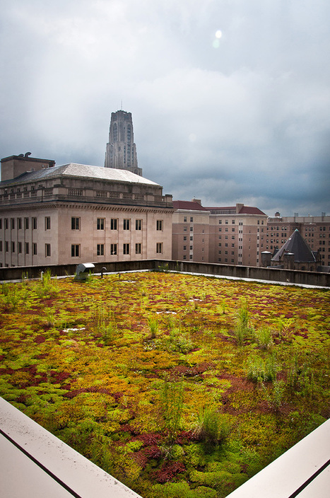 Thinking Green in Pittsburgh | Stage 5  Changing Places | Scoop.it