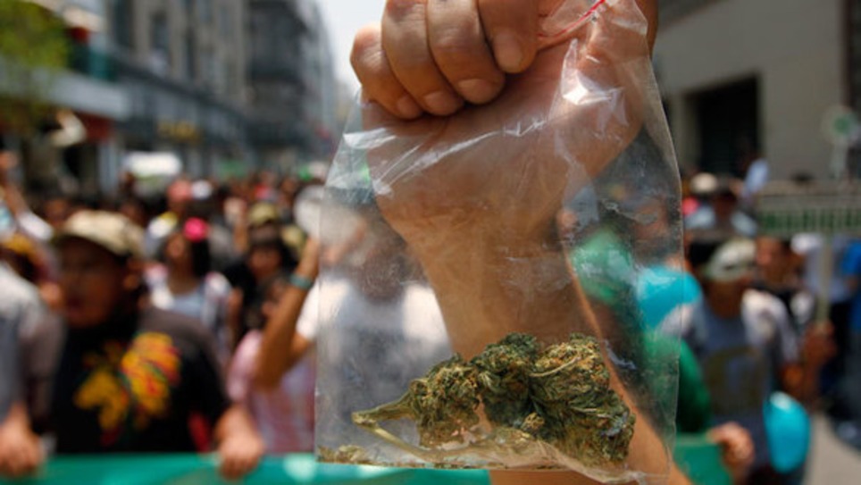 Colorado store makes history as first to offer recreational marijuana in the US | ReactNow - Latest News updated around the clock | Scoop.it