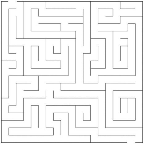 drawing of a maze with unique elements