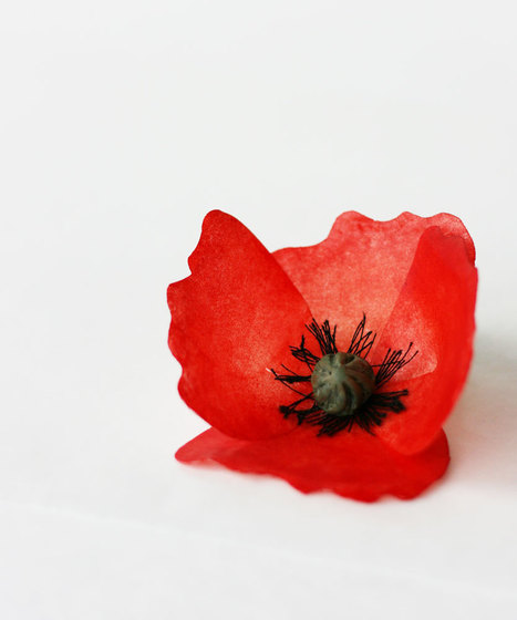 Tutorial Papavero in  Wafer Paper - colorare e costruire | Cake Design | Scoop.it