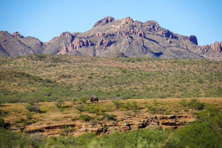 Late Rancher Kemper Marley&rsquo;s Swath of Sonoran Desert Asks $43 Million, Arizona&rsquo;s Most Expensive Ranch | Real Estate Report | Scoop.it
