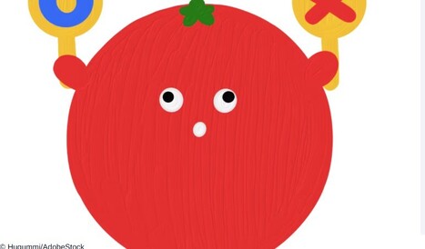 QUIZ RH : Concours, statut, m&eacute;tier AASH , cong&eacute; maladie...&nbsp; | Veille juridique du CDG13 | Scoop.it