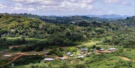 Guyane : face aux critiques, le projet de mine « Montagne d’or » en partie corrigé | KILUCRU | Scoop.it