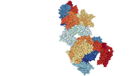 New CRISPR tool can detect tiny amounts of viruses | Life Sciences Université Paris-Saclay | Scoop.it
