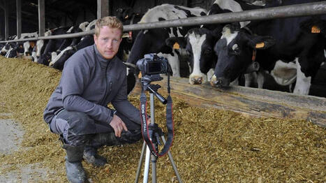 Cet &eacute;leveur sarthois recueille le t&eacute;moignage de ses coll&egrave;gues victimes de la dermatose nodulaire contagieuse - Ouest France [Abonn&eacute;s] | Agriculture et communication positive | Scoop.it